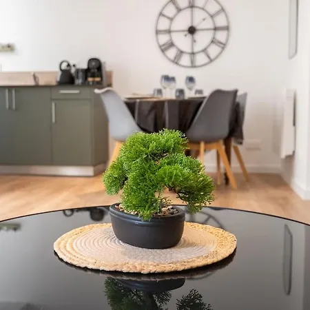 Le Somptueux Terasse Apartment Bordeaux